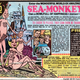 Illustration for article titled Sea Monkeys Are The Guardians Of Earth's Oceans